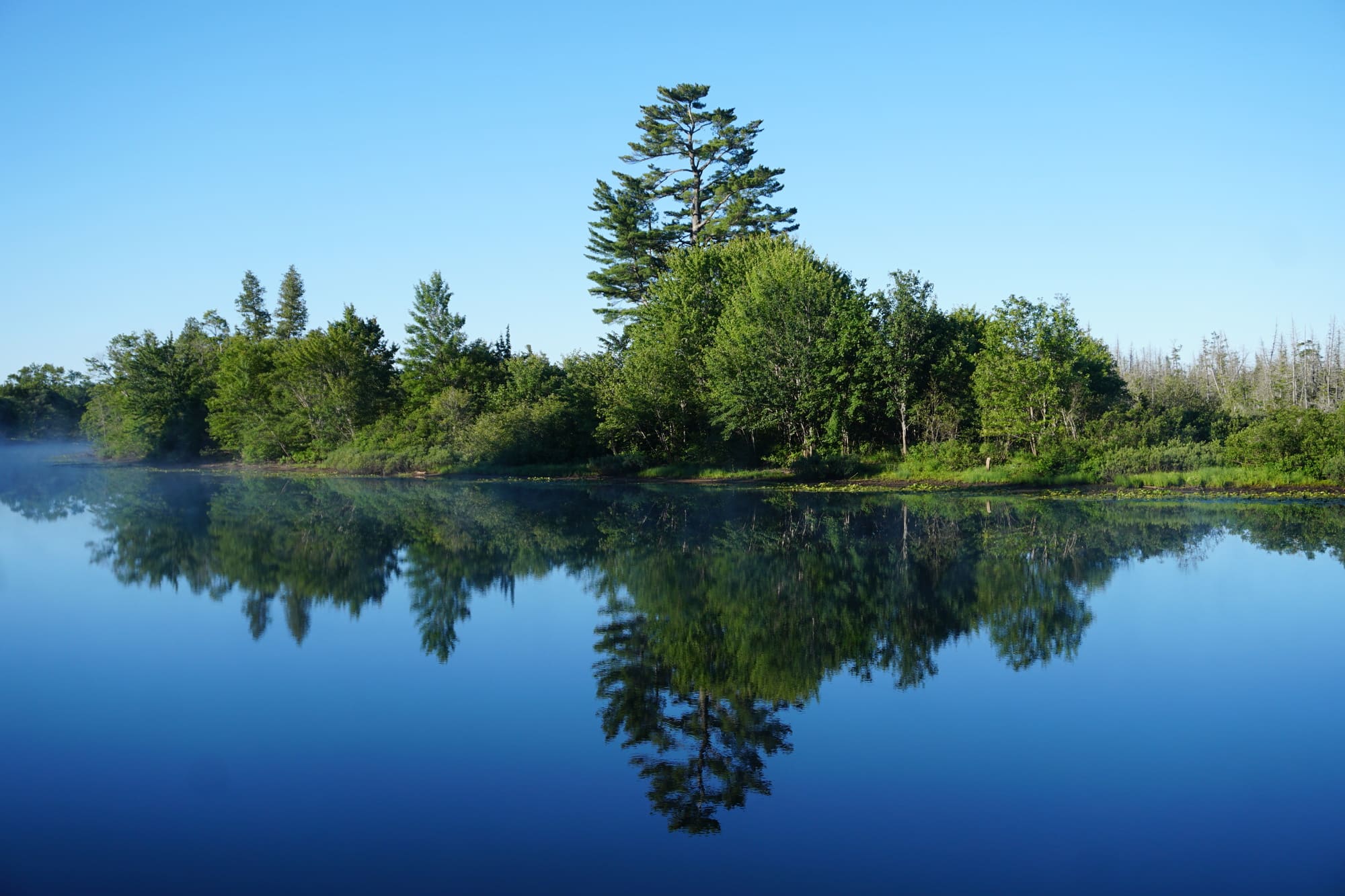 The Way of the Righteous