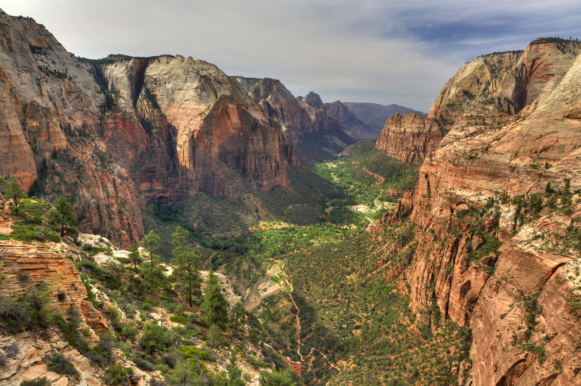 The Reign of the Lord’s Anointed