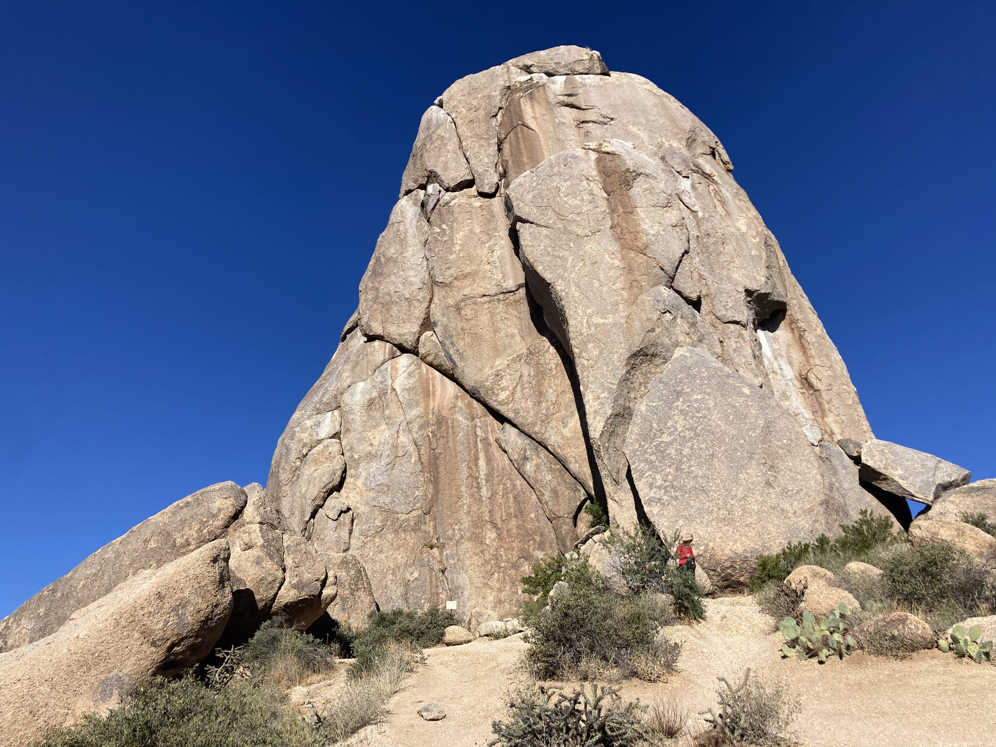 Day 100 in the New Role