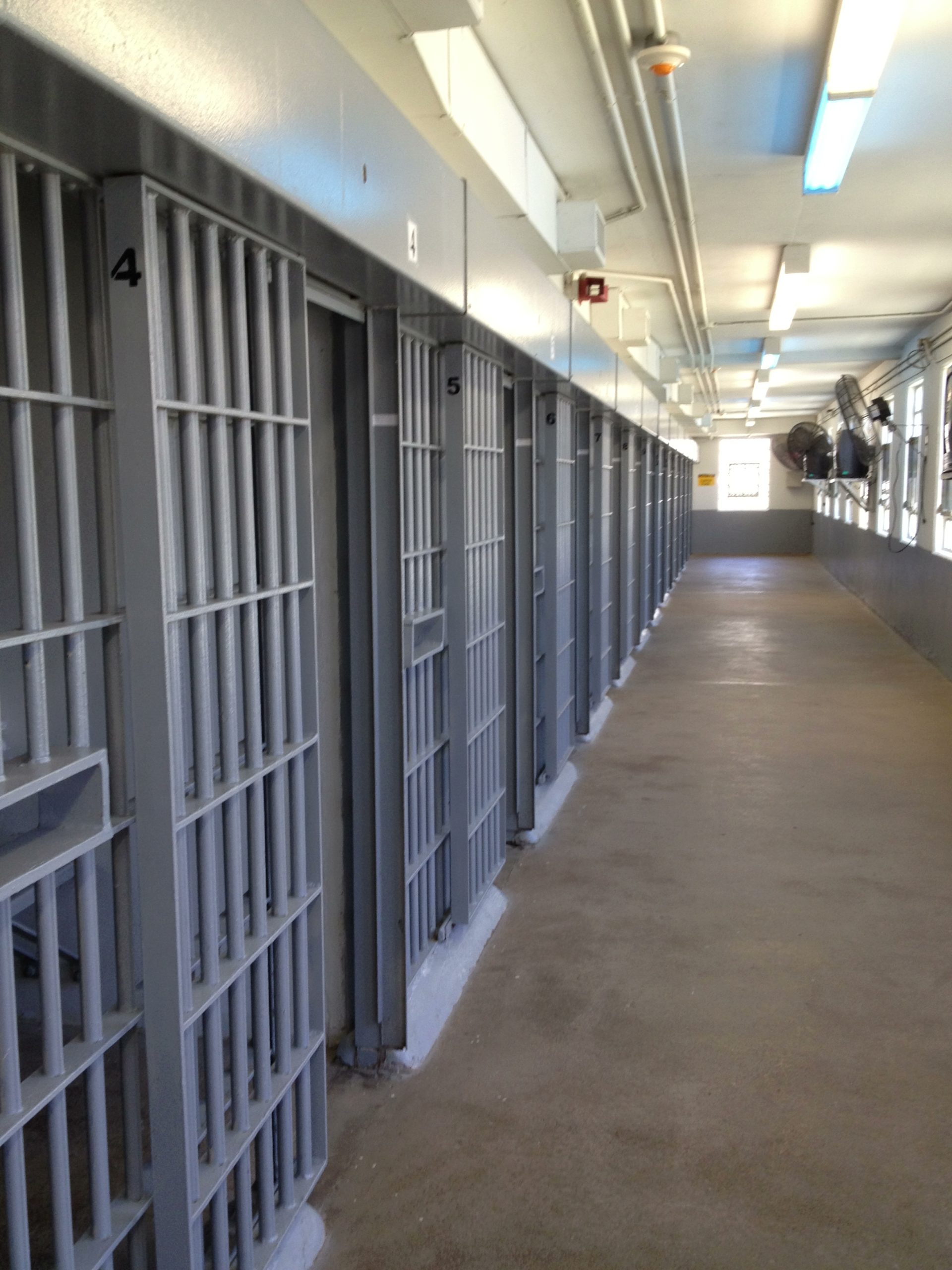 Who the Son Sets Free